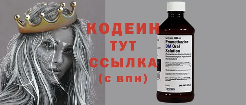 blacksprut маркетплейс  Знаменск  Кодеиновый сироп Lean Purple Drank 